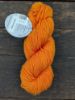 Picture of Baah Yarns - Shasta Worsted
