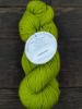 Picture of Baah Yarns - Shasta Worsted
