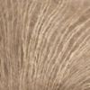 Picture of Aerial